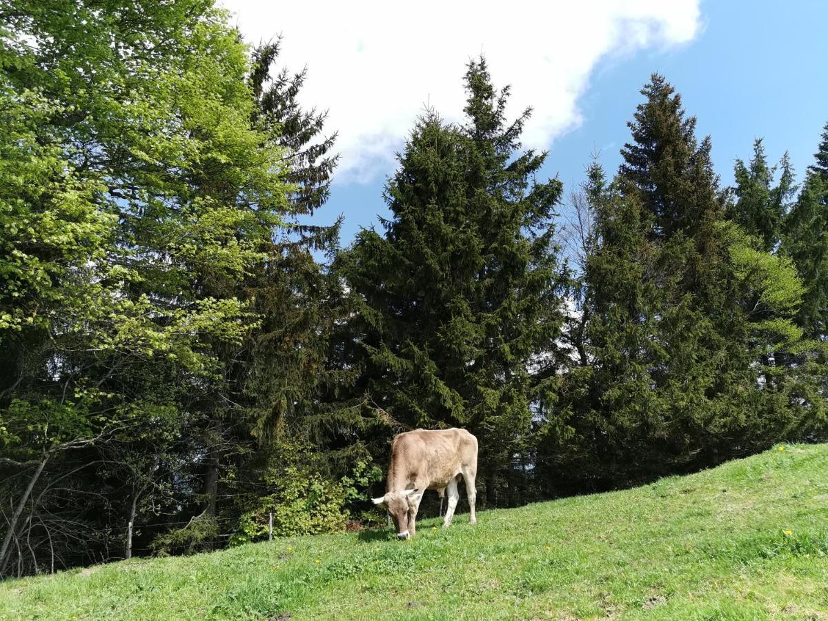 Allgaeuer Ausblick Missen-Wilhams Exteriör bild