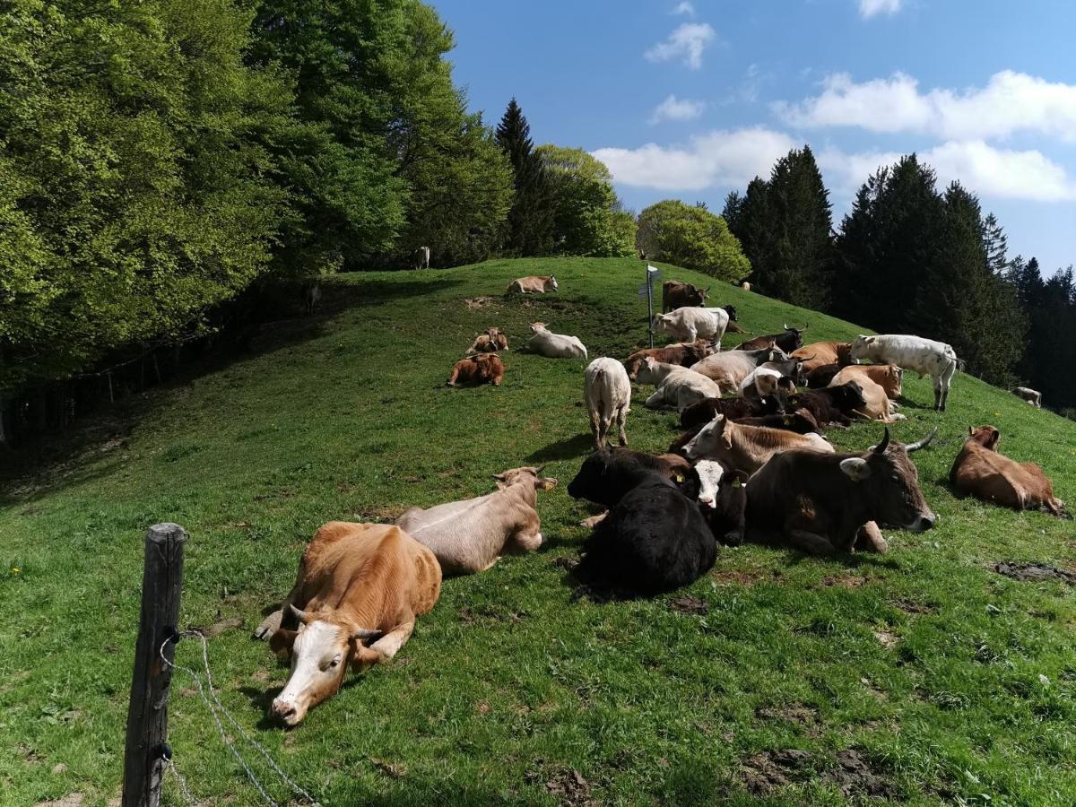 Allgaeuer Ausblick Missen-Wilhams Exteriör bild
